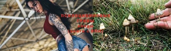 мяу мяу мука Волосово